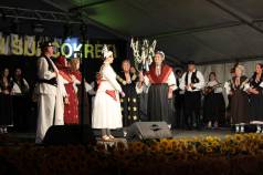 Mini IMG 0188